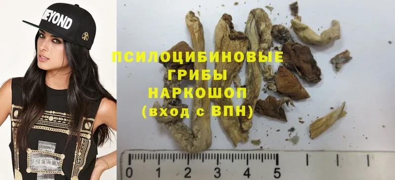 Псилоцибиновые грибы Psilocybine cubensis  блэк спрут ТОР  Емва 